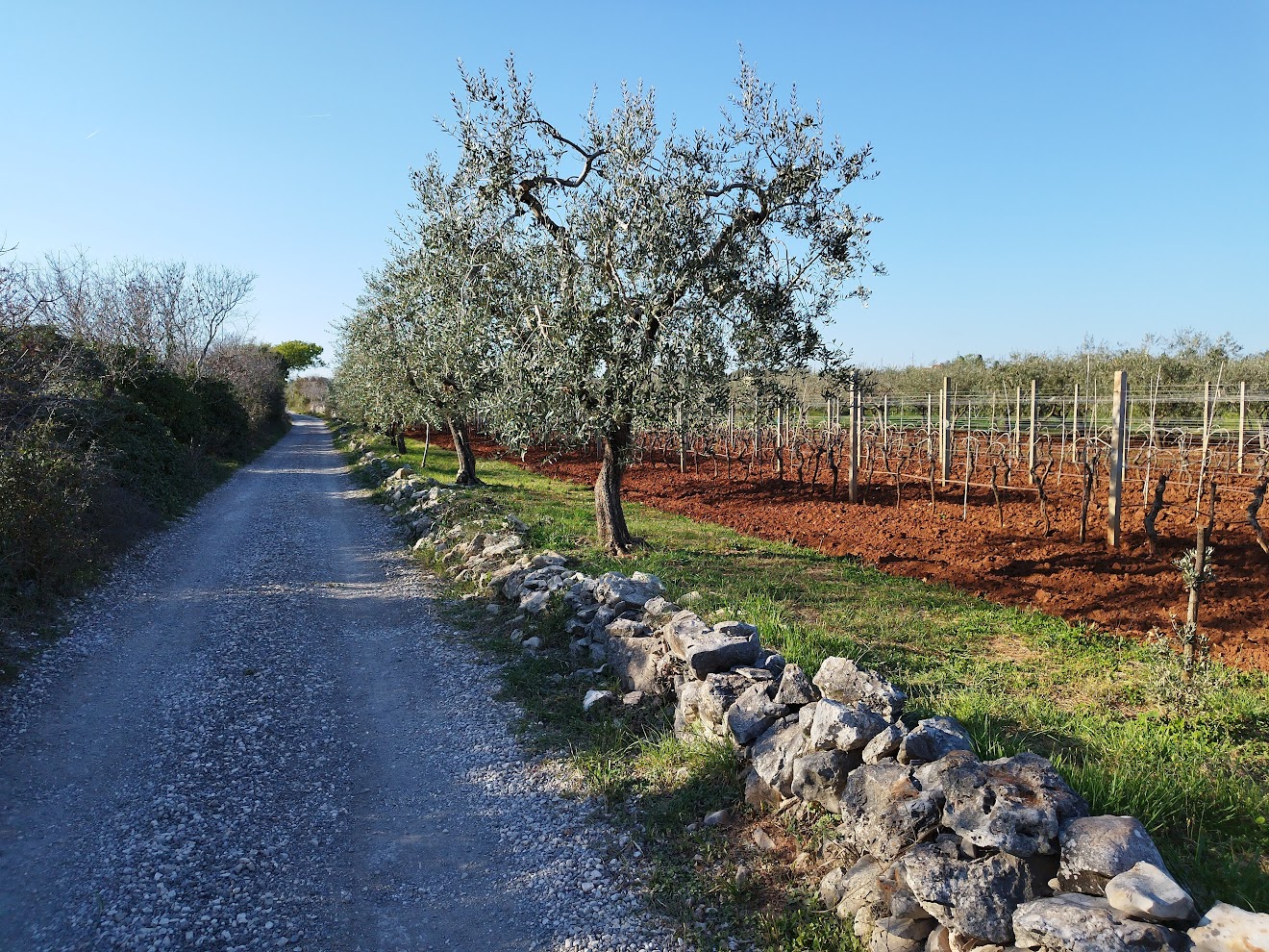 Apartment for rent on the Croatian coast