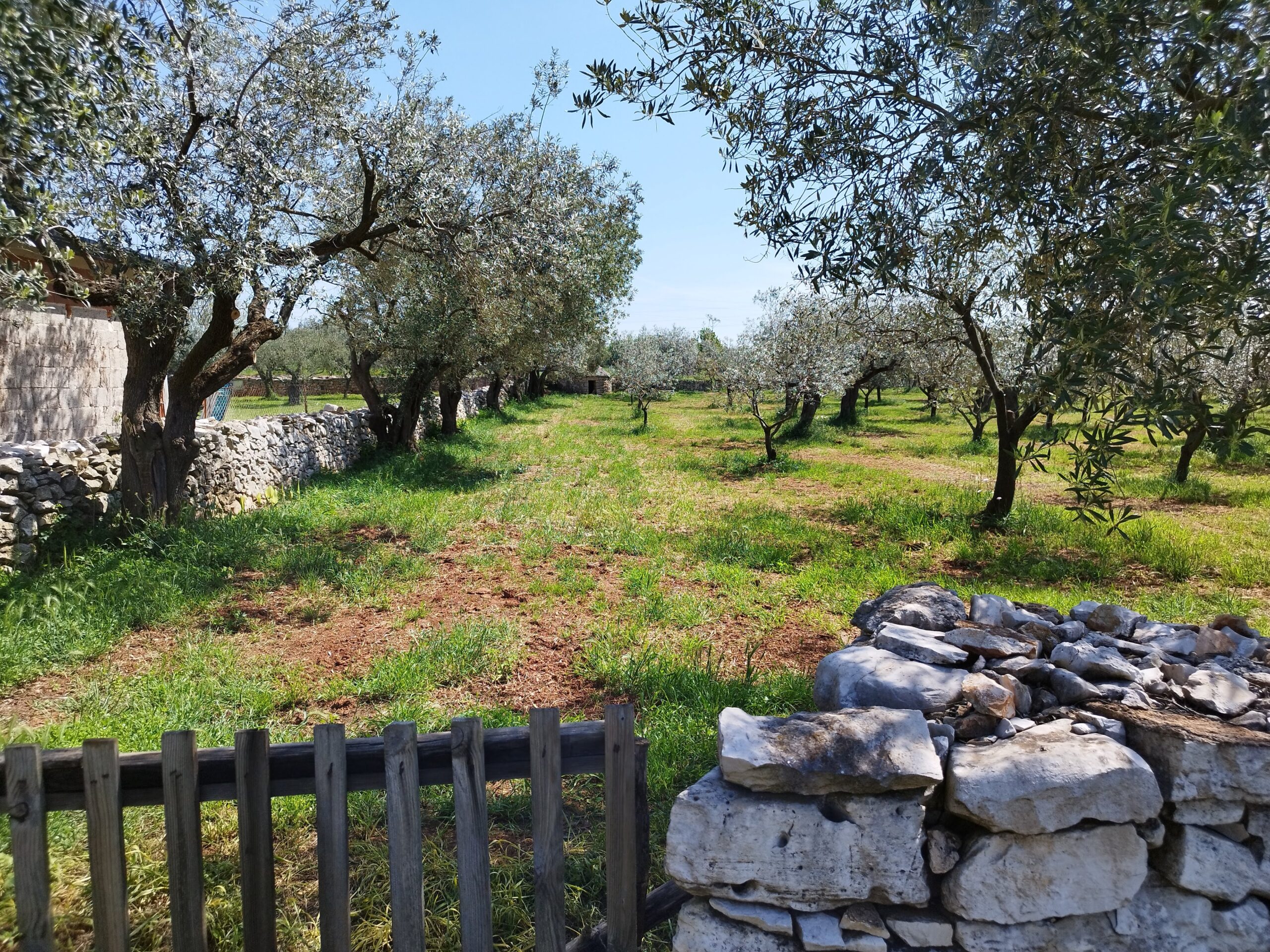 Apartment for rent on the Croatian coast