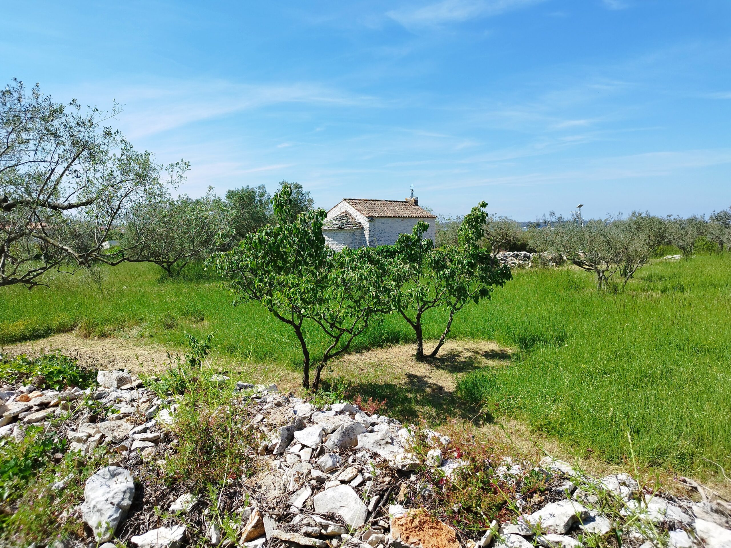 Apartment for rent on the Croatian coast