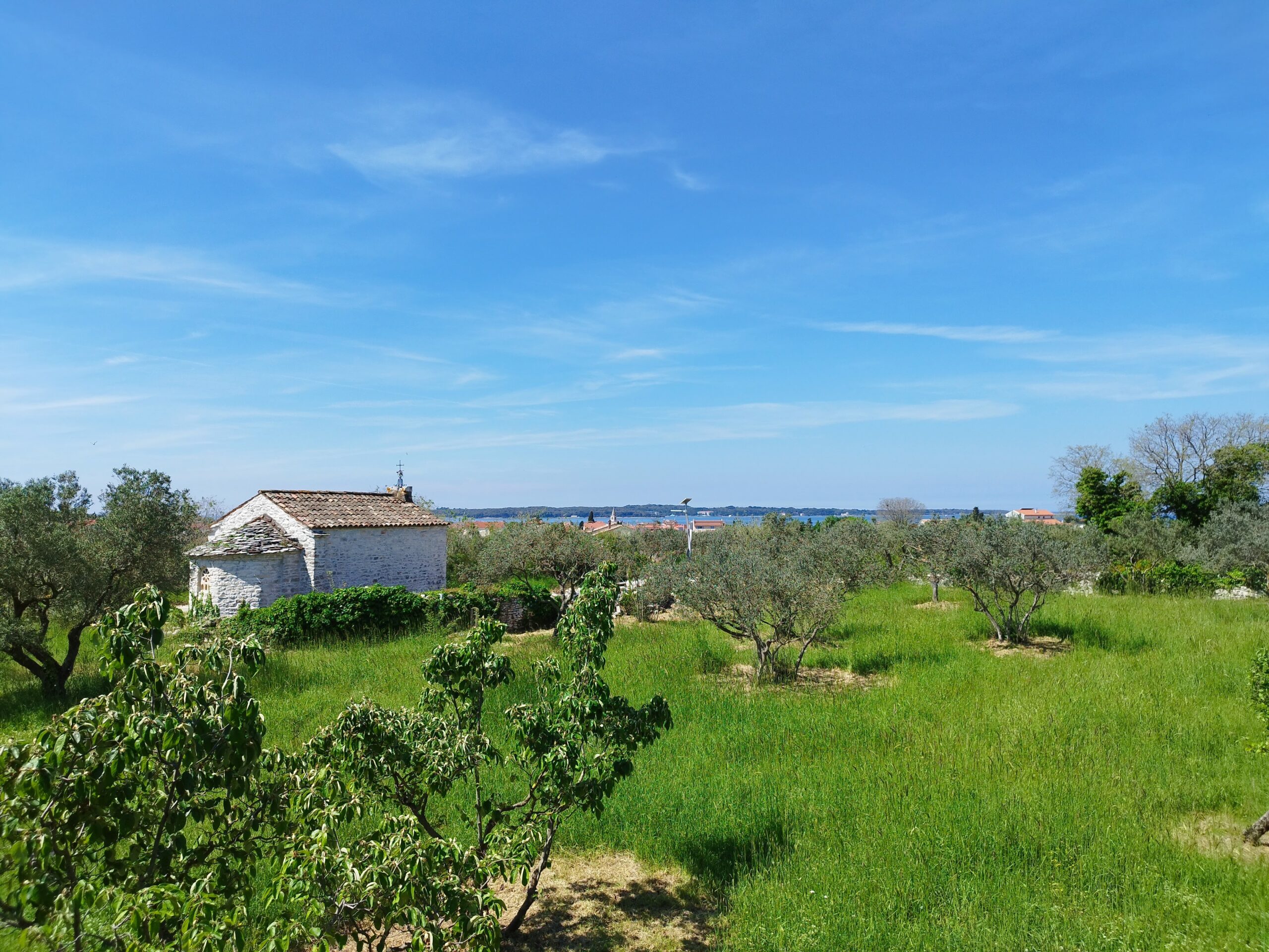 Apartmant for rent in Fažana