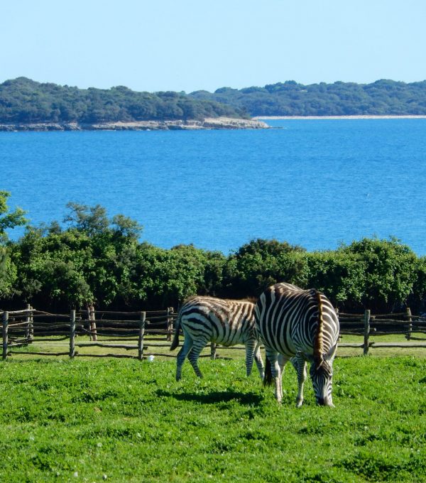 091d2e56-1f95-4fb8-b07b-73253be401a4-istock-537807538